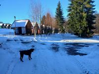 20251130_094617 (1024x768).jpg